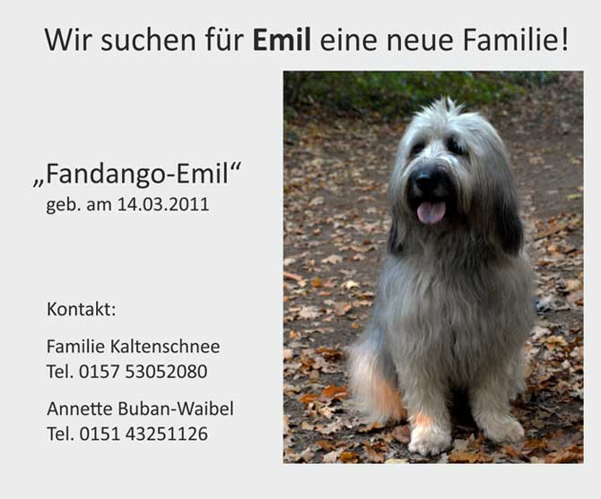 Fandango-Emil sucht ein neues Zuhause